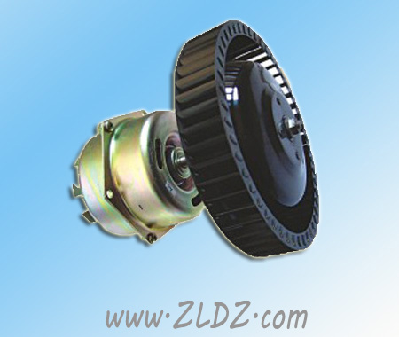 range hoods motor