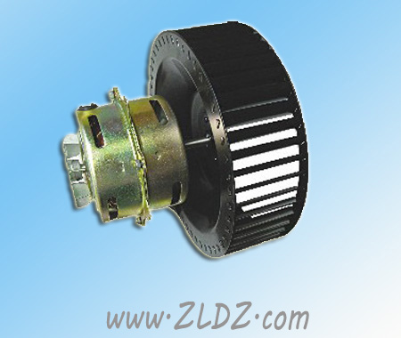 range hoods motor